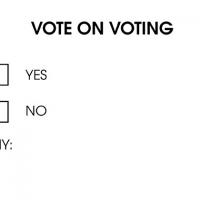 Vote on Vote | Yan Jun & Mattin
